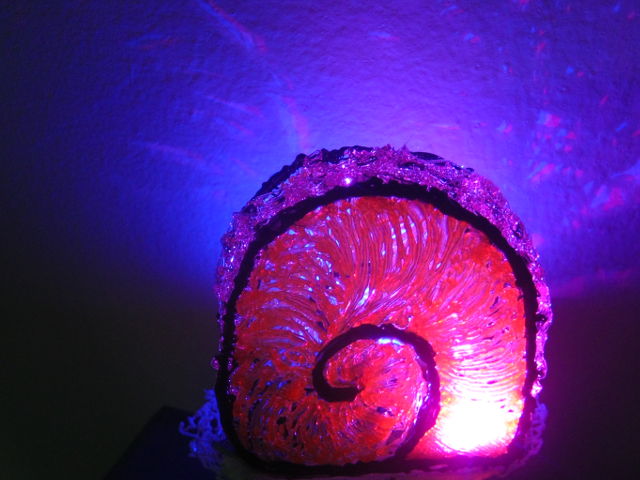 snail